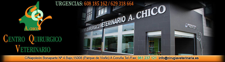 Alfonso chico Veterinario